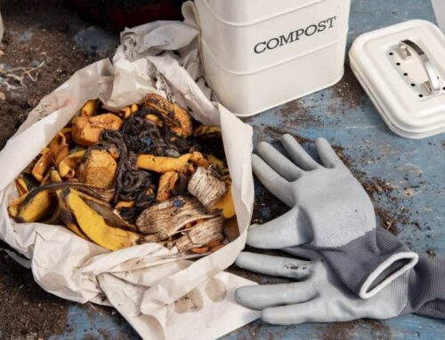 Alternatywy dla nawozów sztucznych – kompost w roli głównej czy można zastosować torf jako substytut